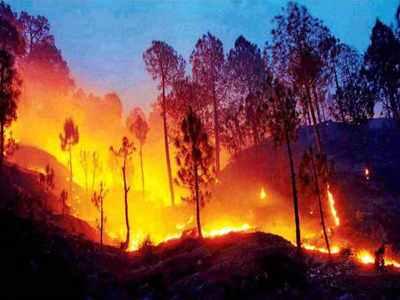 Climate Change on South Asian Countries